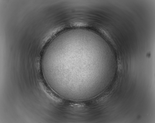 X0000116350447200912151355