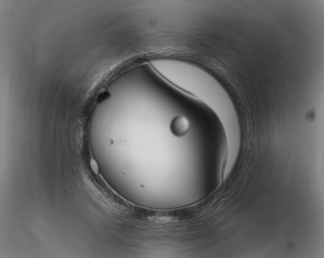 X0000116350448200912151355