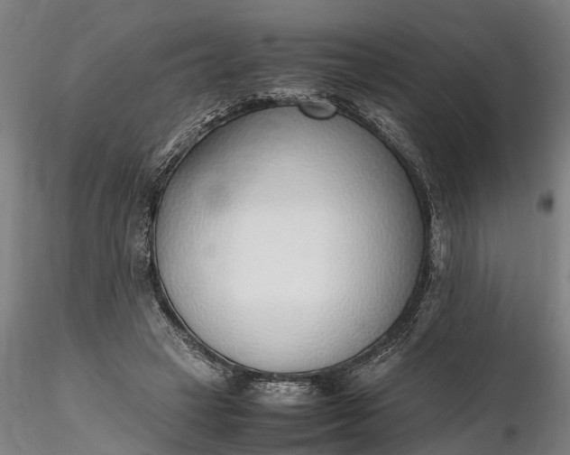 X0000116350449200912151355