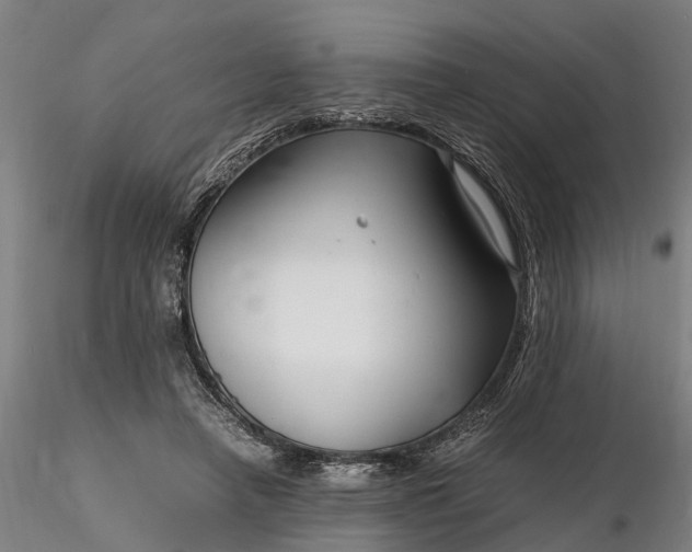 X0000116350450200912151355