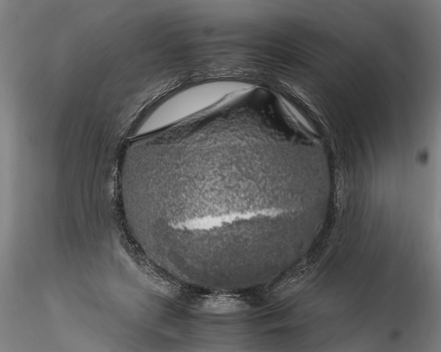 X0000116350451200912151355