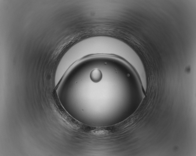 X0000116350452200912151355