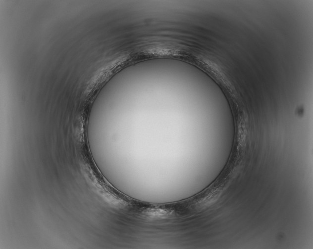 X0000116350453200912151356