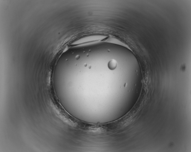 X0000116350454200912151356