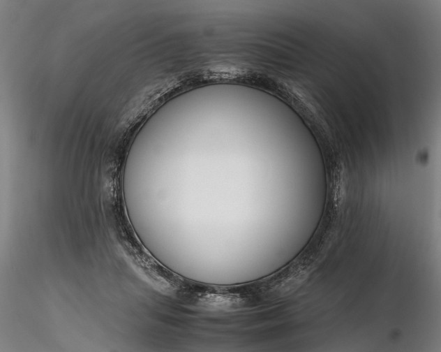 X0000116350455200912151356