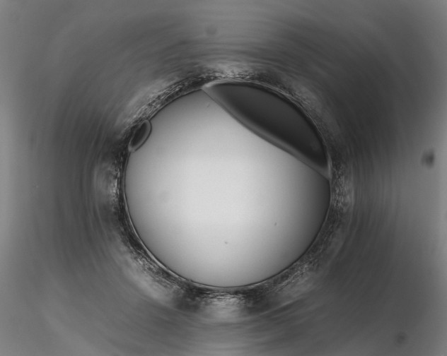 X0000116350456200912151356