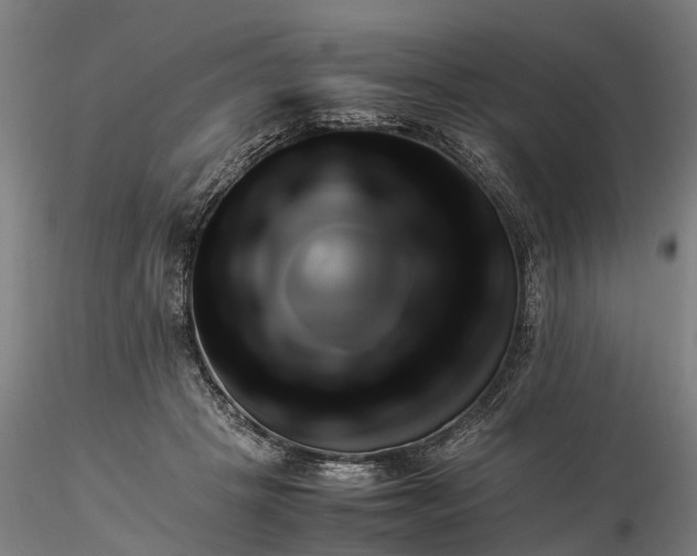 X0000116350457200912151356