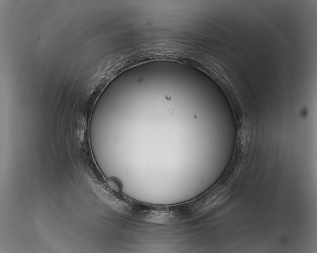 X0000116350458200912151356