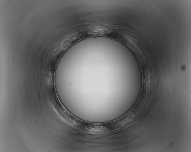 X0000116350459200912151356