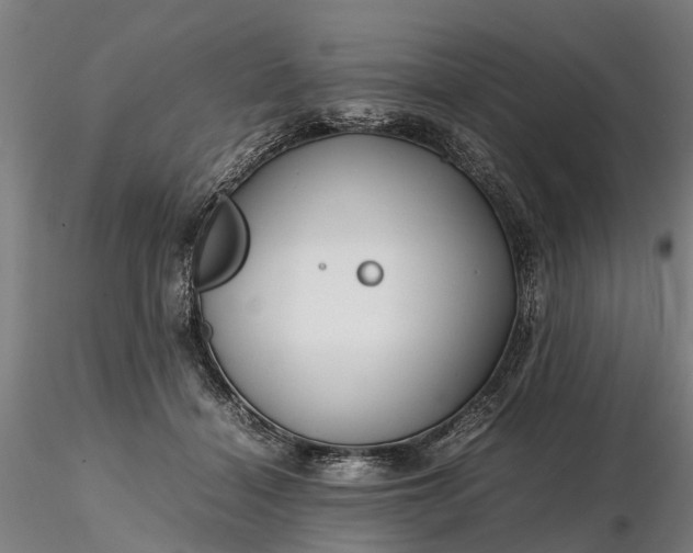 X0000116350460200912151356