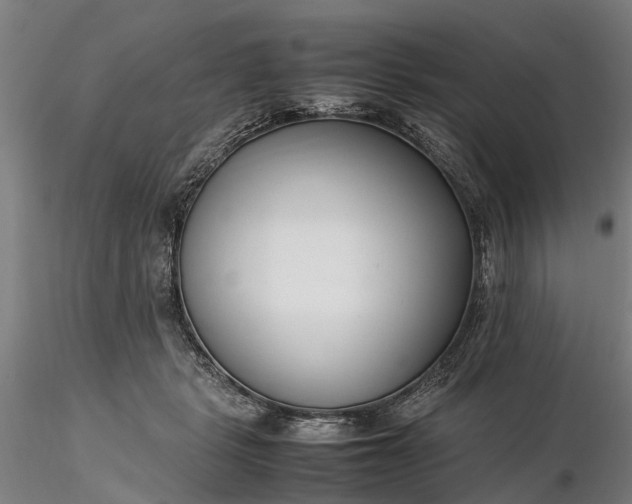 X0000116350461200912151356