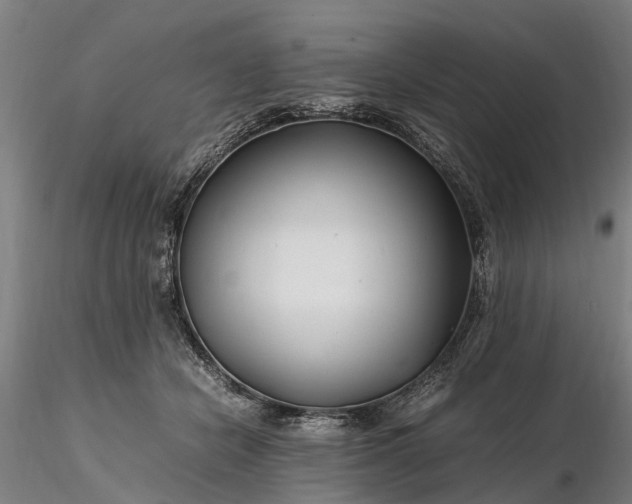 X0000116350462200912151356