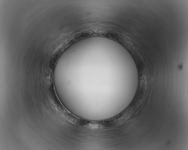 X0000116350464200912151356