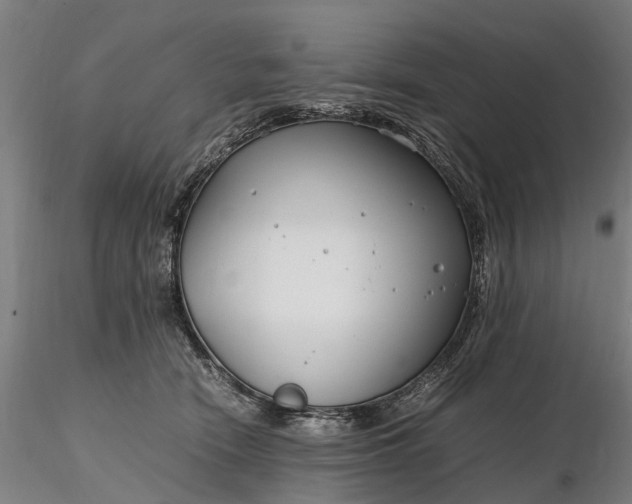 X0000116350466200912151356