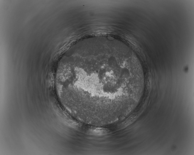 X0000116350467200912151356