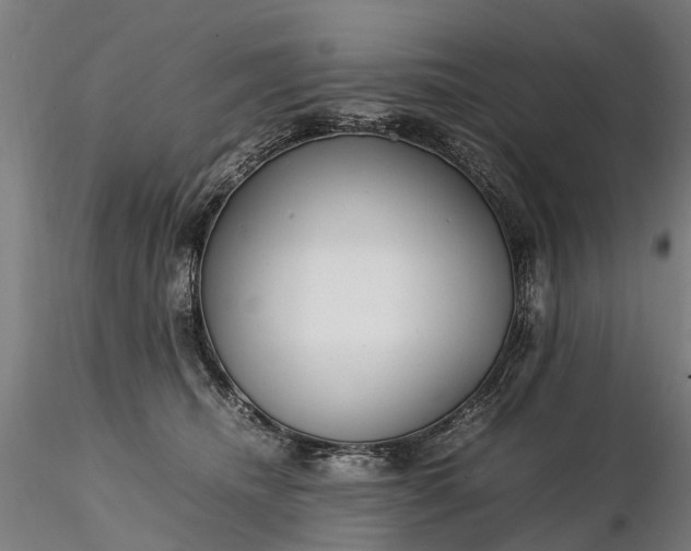 X0000116350468200912151356