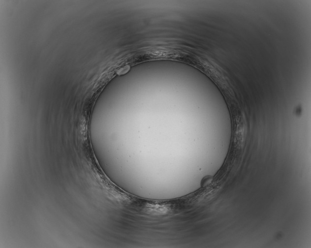 X0000116350469200912151356