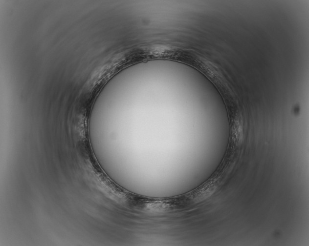 X0000116350470200912151356