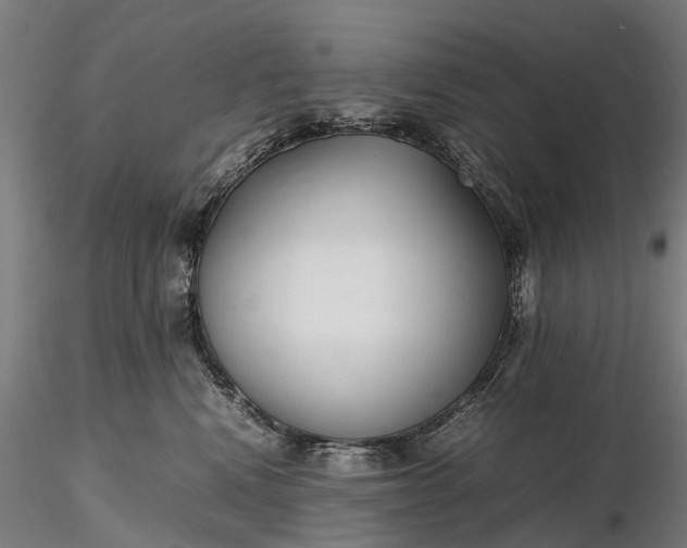 X0000116350472200912151356