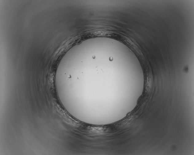 X0000116350473200912151356