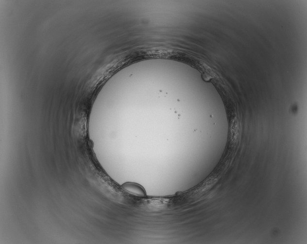 X0000116350474200912151356