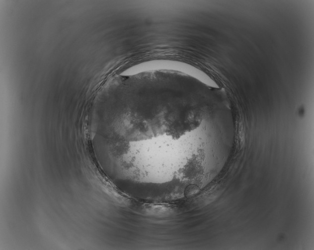 X0000116350475200912151356