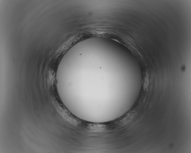 X0000116350476200912151356