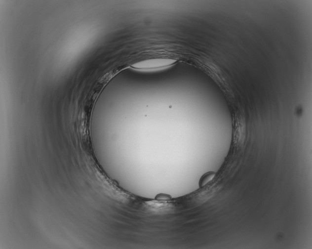 X0000116350477200912151356