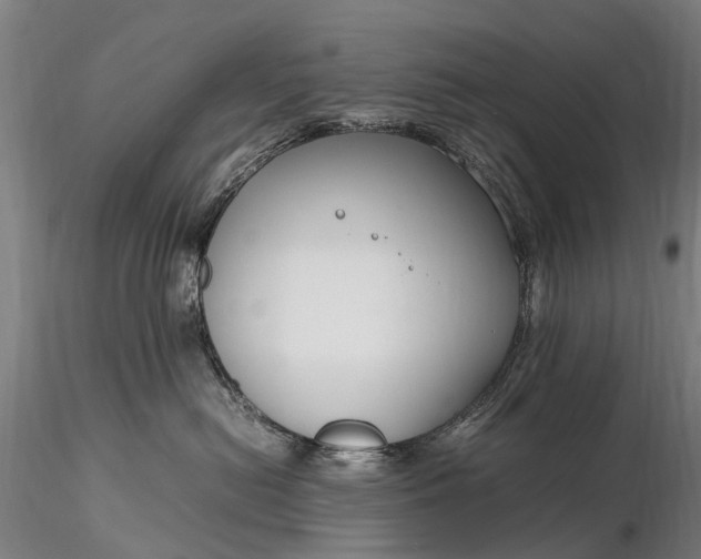 X0000116350478200912151356