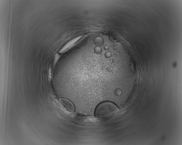 X0000116350479200912151356