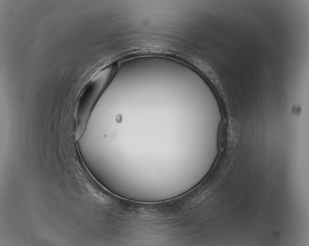 X0000116350481200912151355