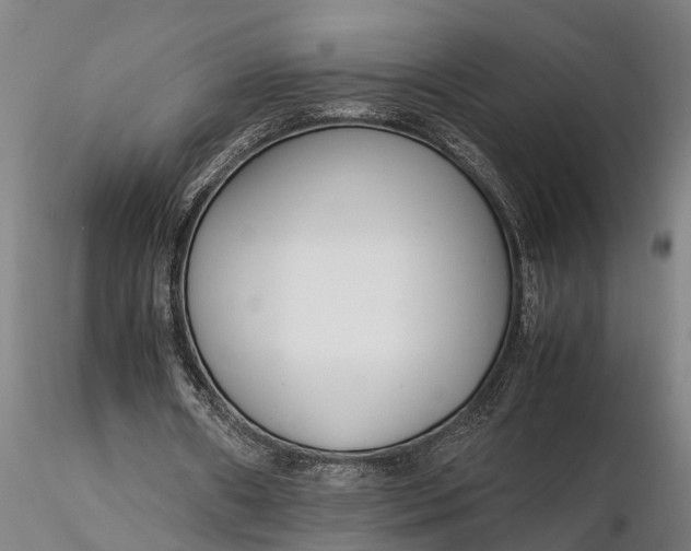 X0000116350482200912151355