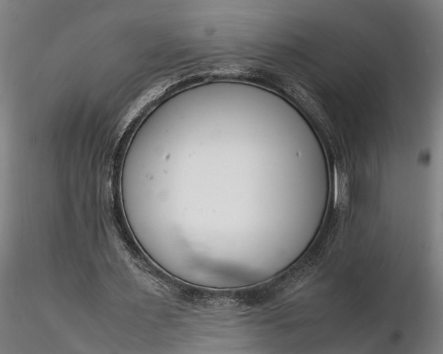 X0000116350483200912151355