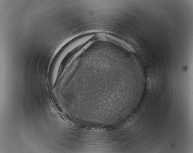 X0000116350484200912151355