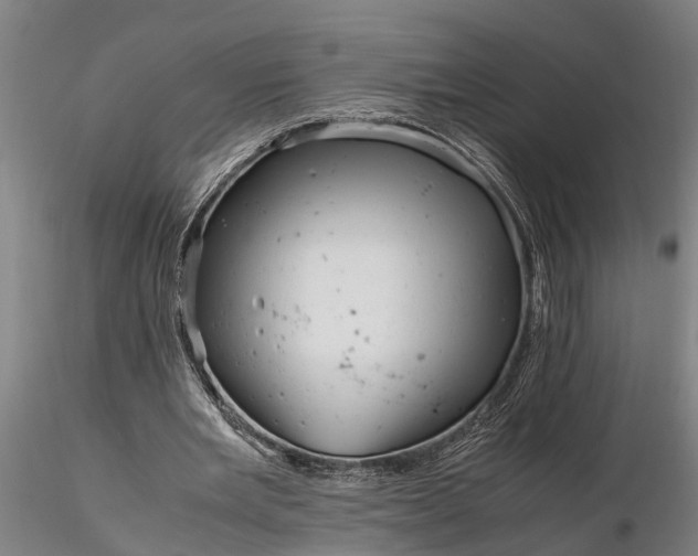 X0000116350485200912151355