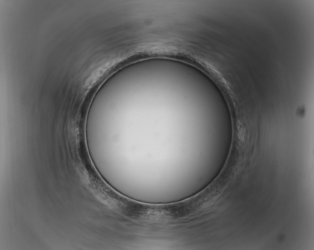 X0000116350487200912151355