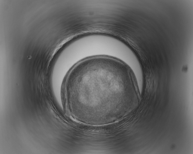 X0000116350488200912151355