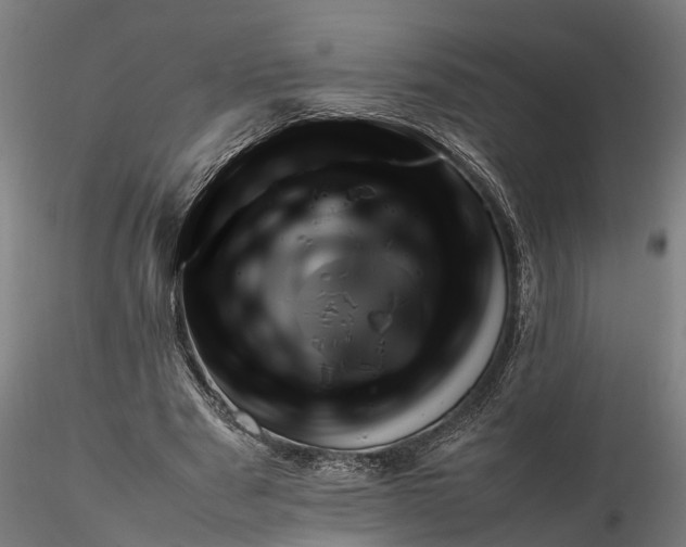 X0000116350489200912151355