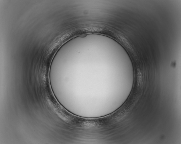 X0000116350490200912151355