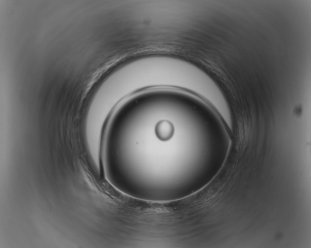 X0000116350492200912151355