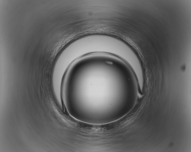 X0000116350493200912151355