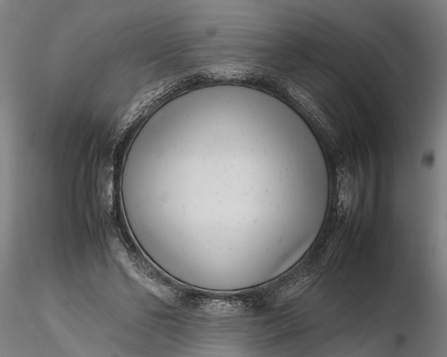 X0000116350494200912151355