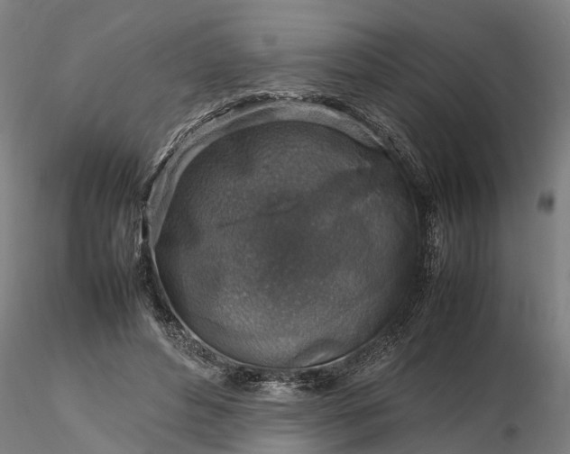 X0000116350496200912151355