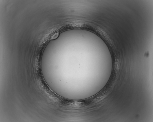 X0000116350497200912151355