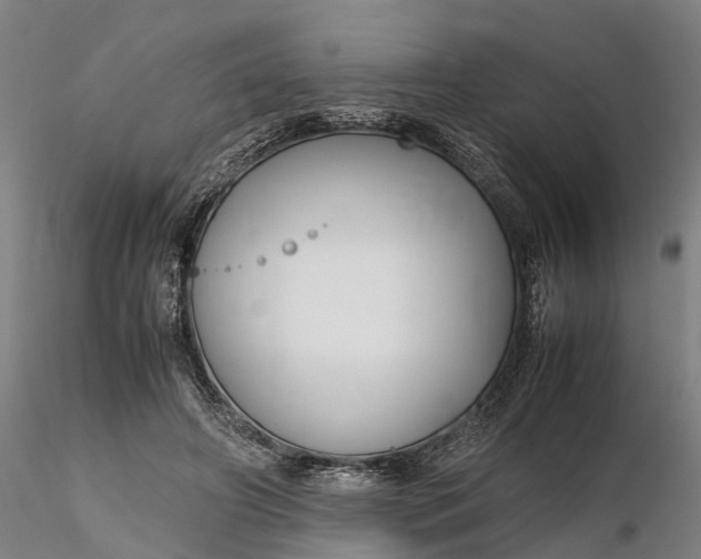 X0000116350498200912151355