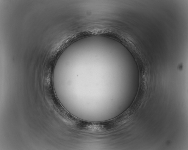 X0000116350499200912151355