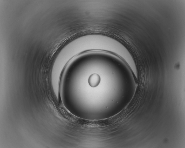 X0000116350500200912151355