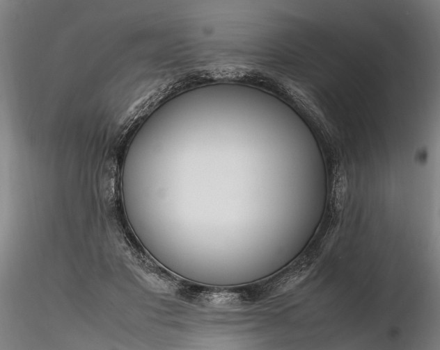 X0000116350501200912151355