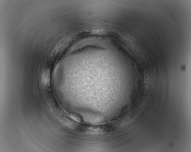 X0000116350502200912151355