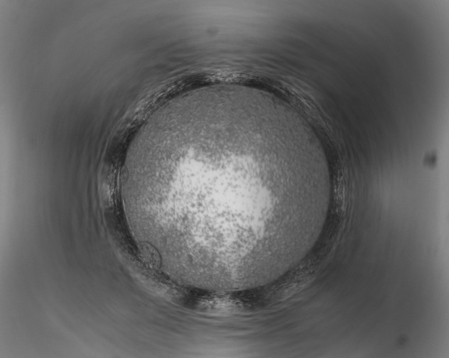 X0000116350503200912151355